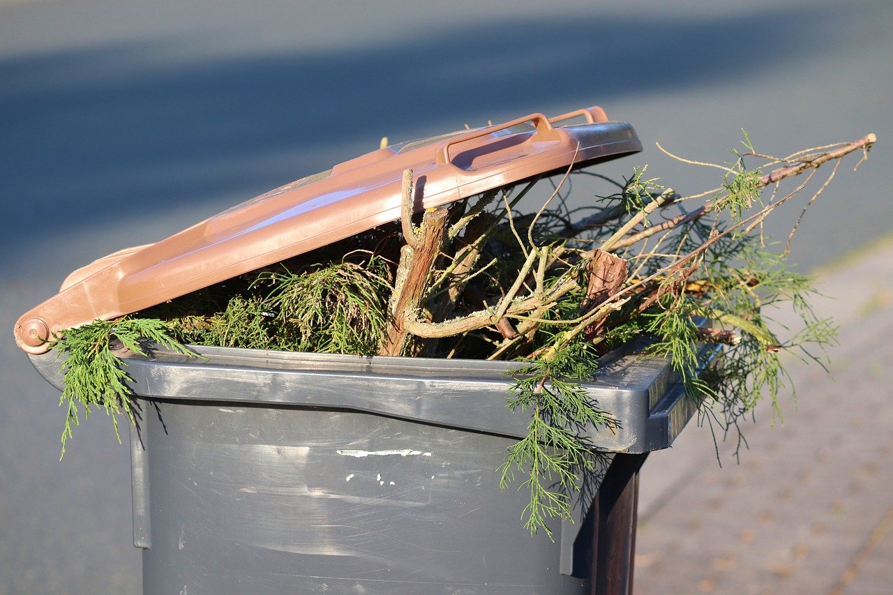 7 Cheapest Ways To Get Rid Of Garden Waste Quickly